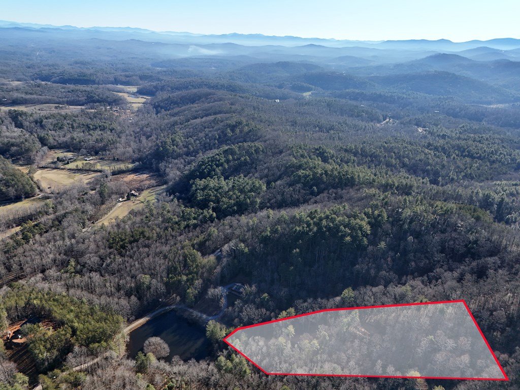 5-acres Hells Holw Way Blue Ridge, GA 30513 - Photo 3 of 43 Gallery Image 3