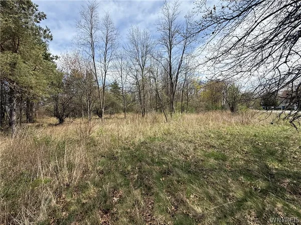 $72,900 | 1537-1557 Braley Road North, Youngstown, NY 14174