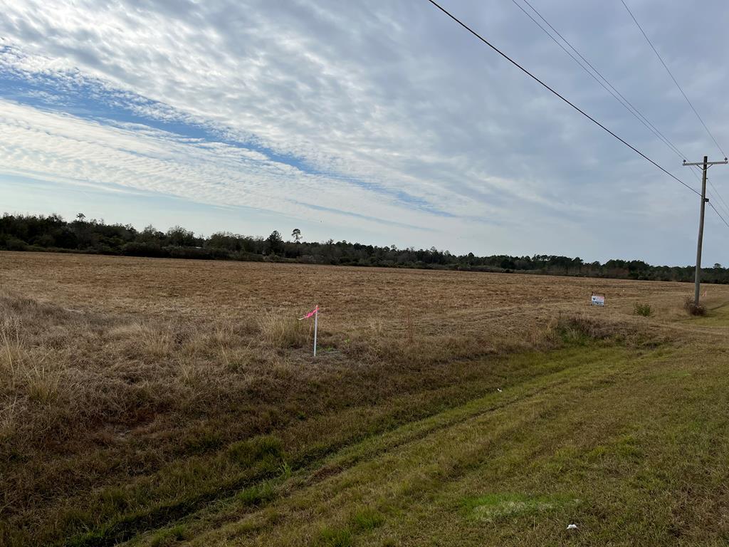0 Moore Road Valdosta, GA 31605 - Photo 1 of 8 Gallery Image 1