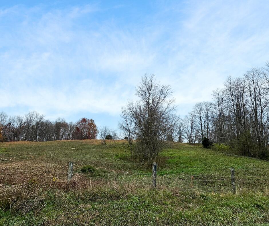 3099 East Union Road Carlisle, KY 40311 - Photo 24 of 32 10