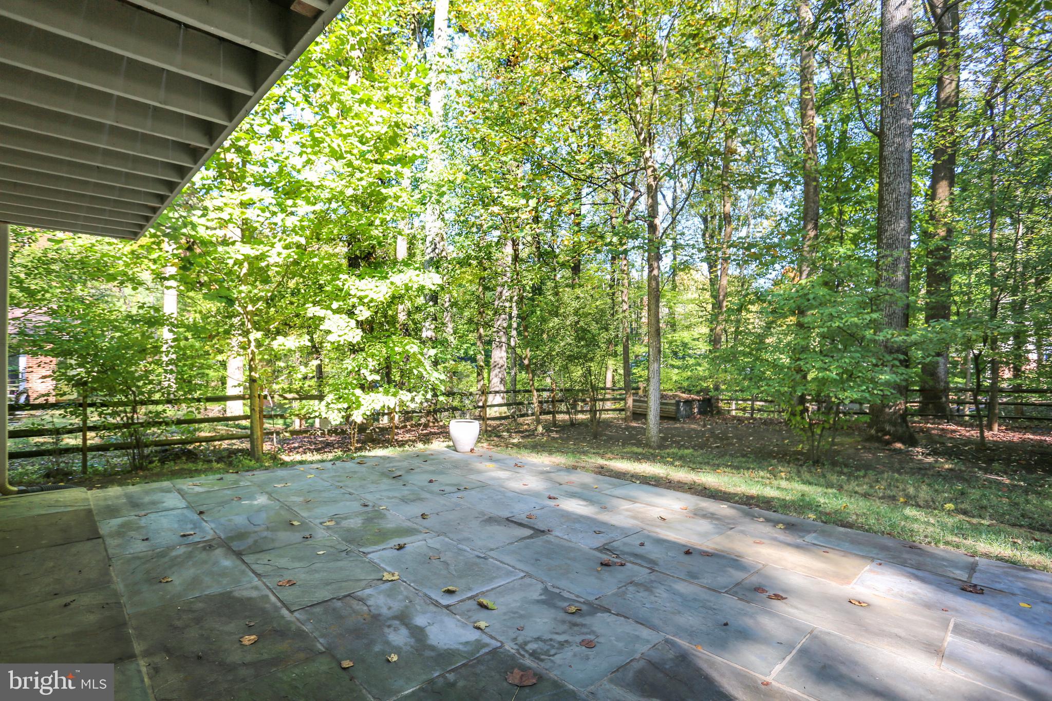 7504 Hamilton Spring Road Bethesda, MD 20817 - Photo 43 of 52 Beautiful back garden