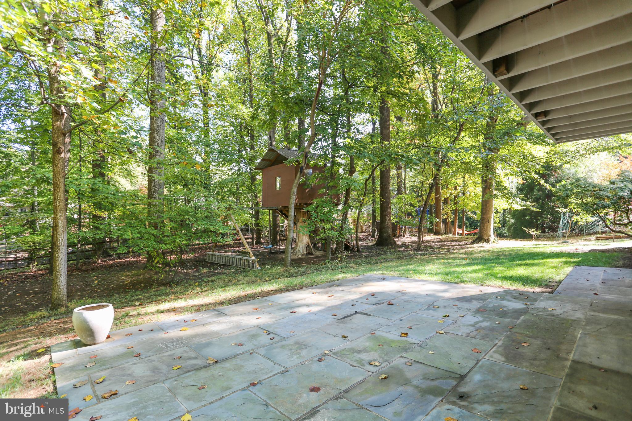 7504 Hamilton Spring Road Bethesda, MD 20817 - Photo 46 of 52 View of back garden from patio with tree house!