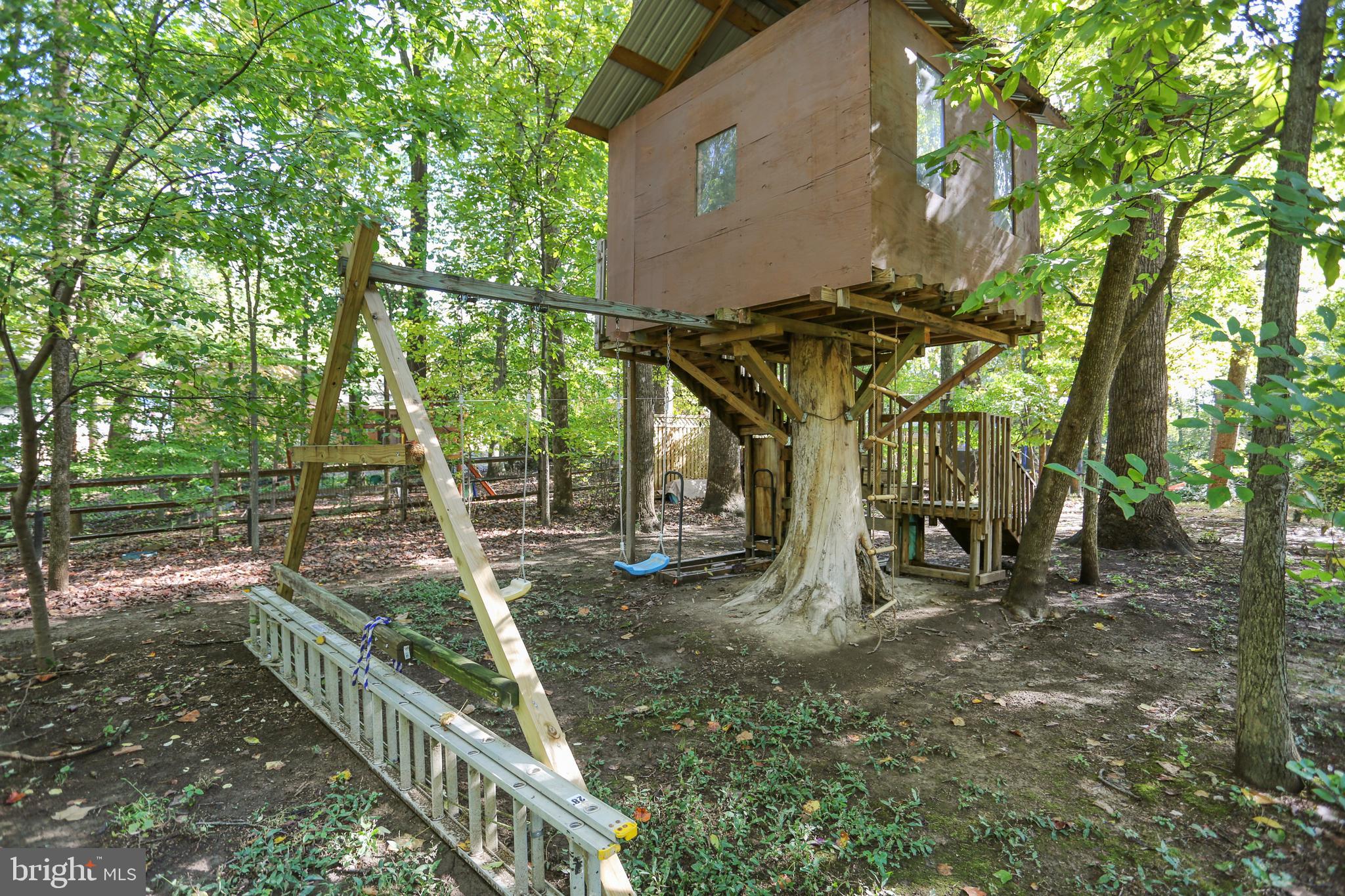 7504 Hamilton Spring Road Bethesda, MD 20817 - Photo 47 of 52 Tree house w=awaiting adventures!