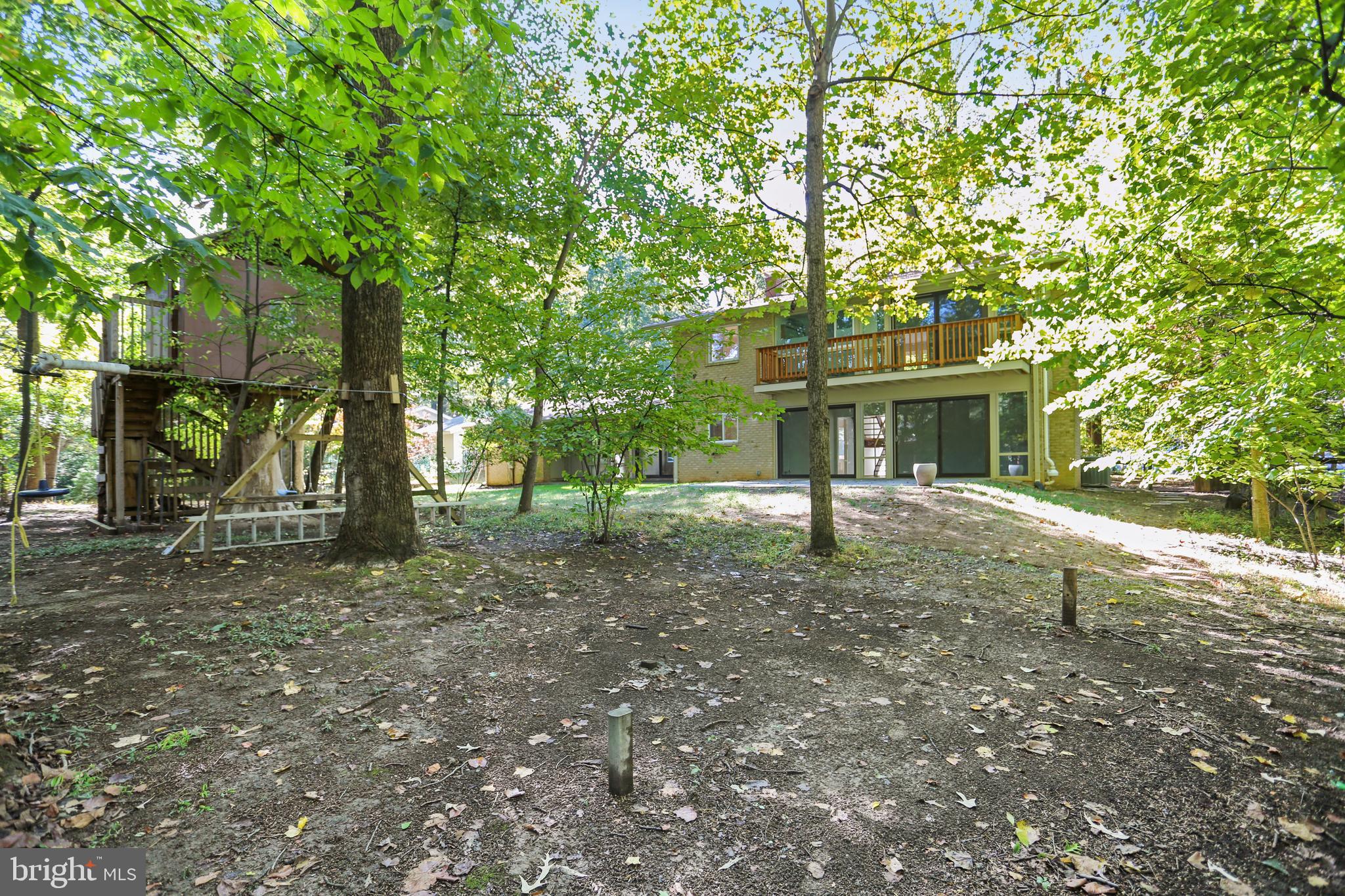 7504 Hamilton Spring Road Bethesda, MD 20817 - Photo 49 of 52 Terrific back garden with lots of options