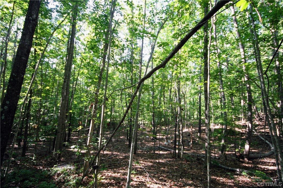 0 Sharon Road Esmont, VA 22937 - Photo 13 of 43 a view of forest