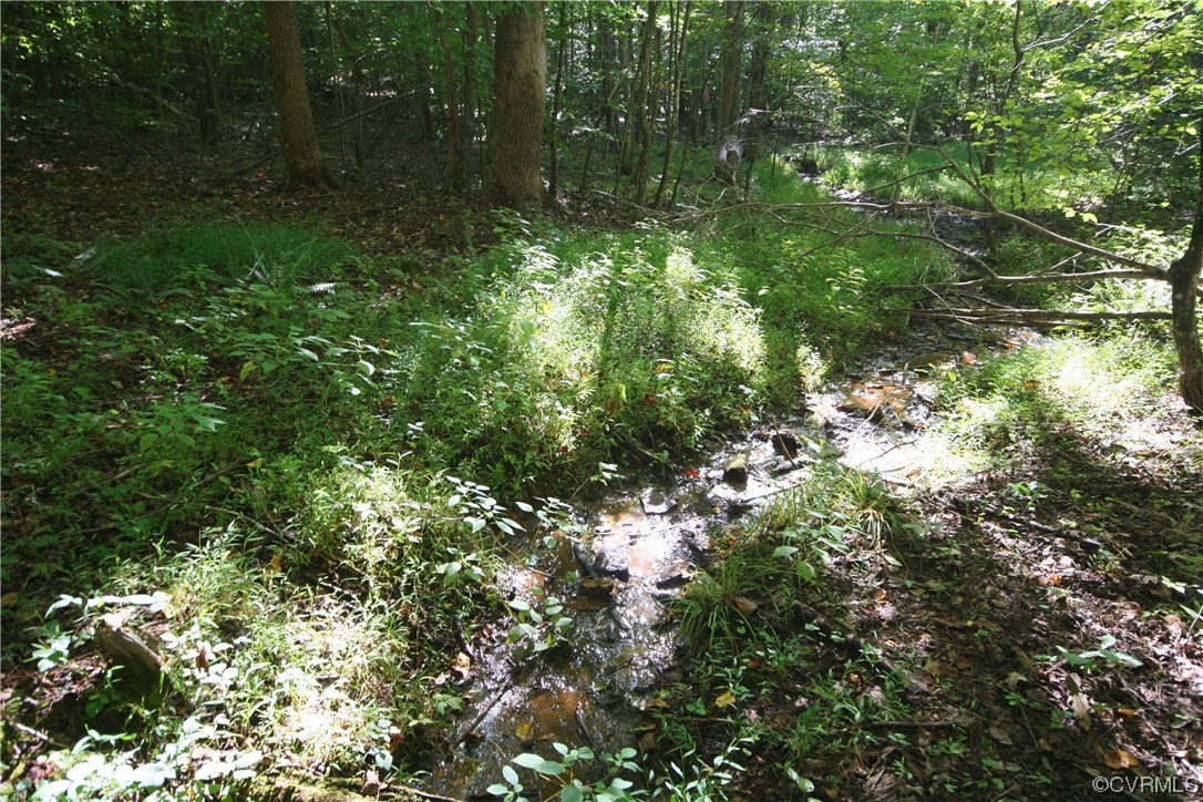 0 Sharon Road Esmont, VA 22937 - Photo 31 of 43 a view of outdoor space with lots of trees