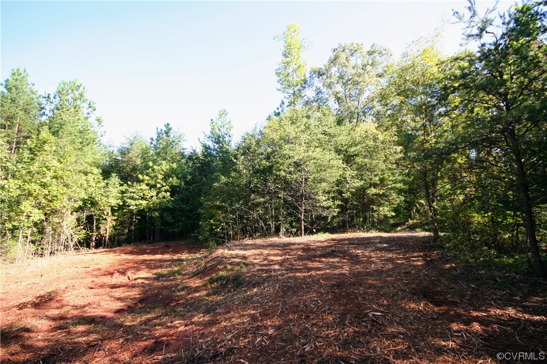 0 Sharon Road Esmont, VA 22937 - Photo 41 of 43 a view of outdoor space with trees