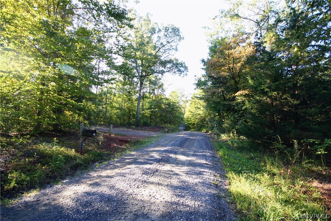 0 Sharon Road Esmont, VA 22937 - Photo 7 of 43 a view of a yard with plants and large trees