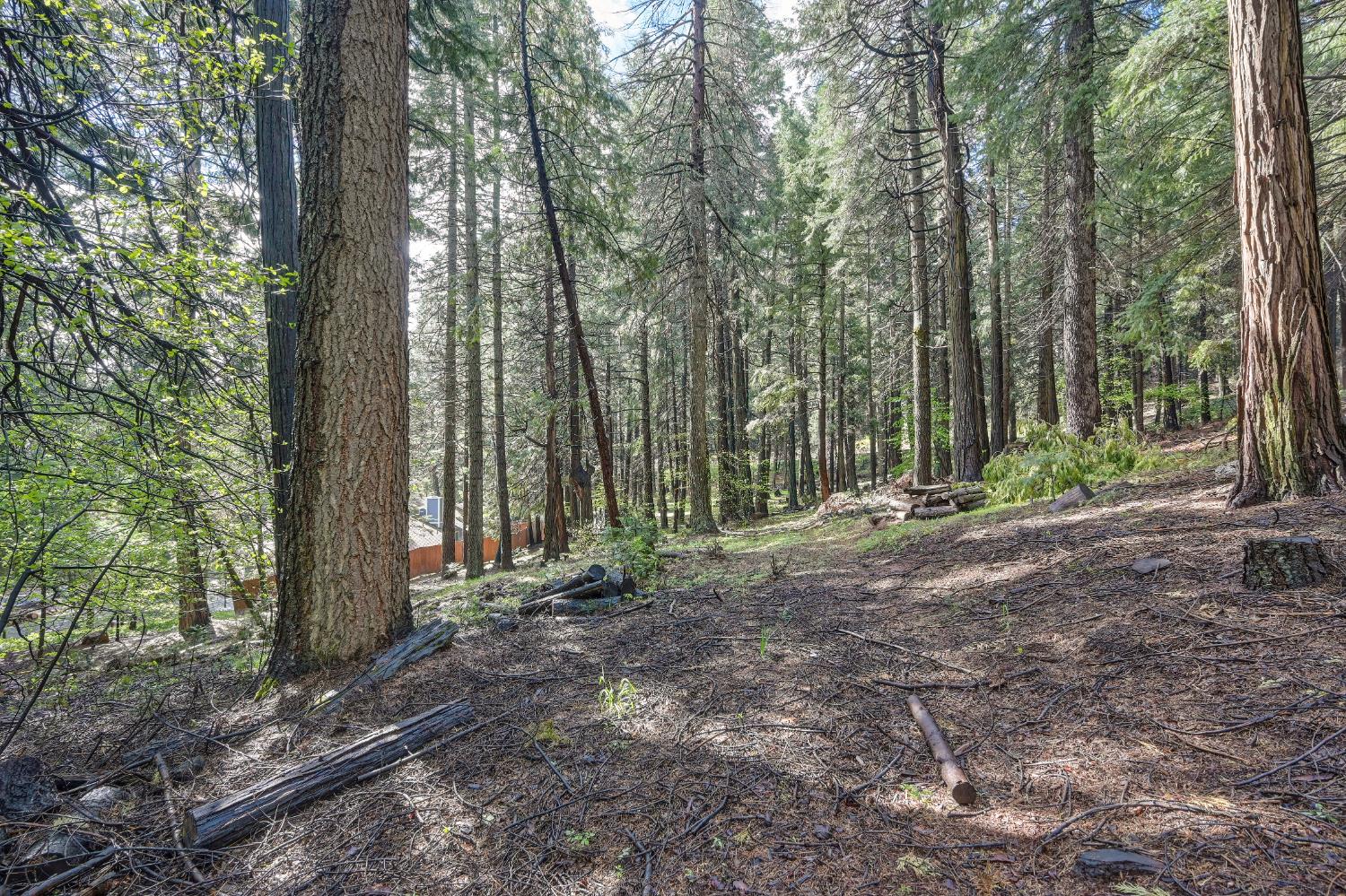 4580 Jenkinson Circle Pollock Pines, CA 95726 - Photo 49 of 78