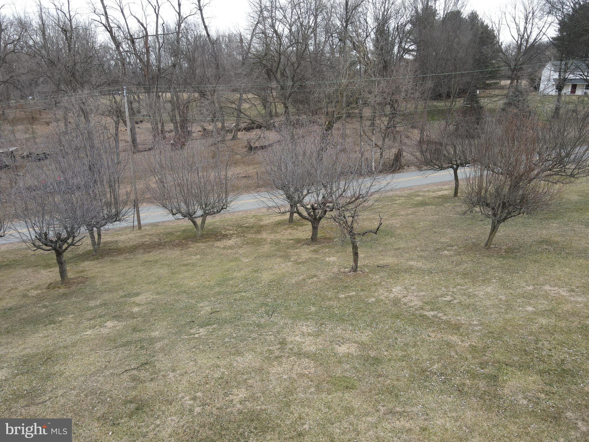 290 Locust Grove Road Bainbridge, PA 17502 - Photo 104 of 108