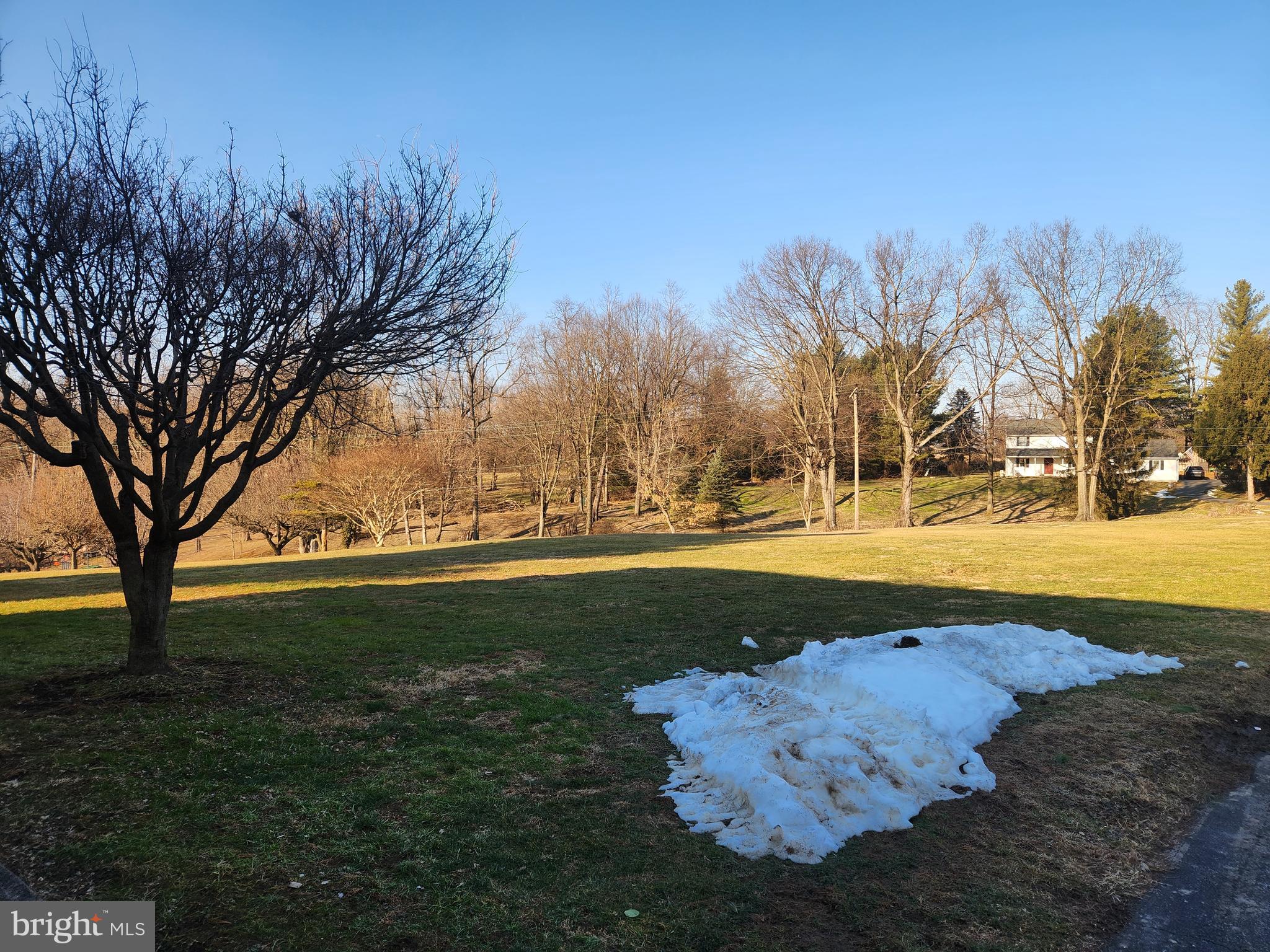 290 Locust Grove Road Bainbridge, PA 17502 - Photo 60 of 108 a yard with lake view