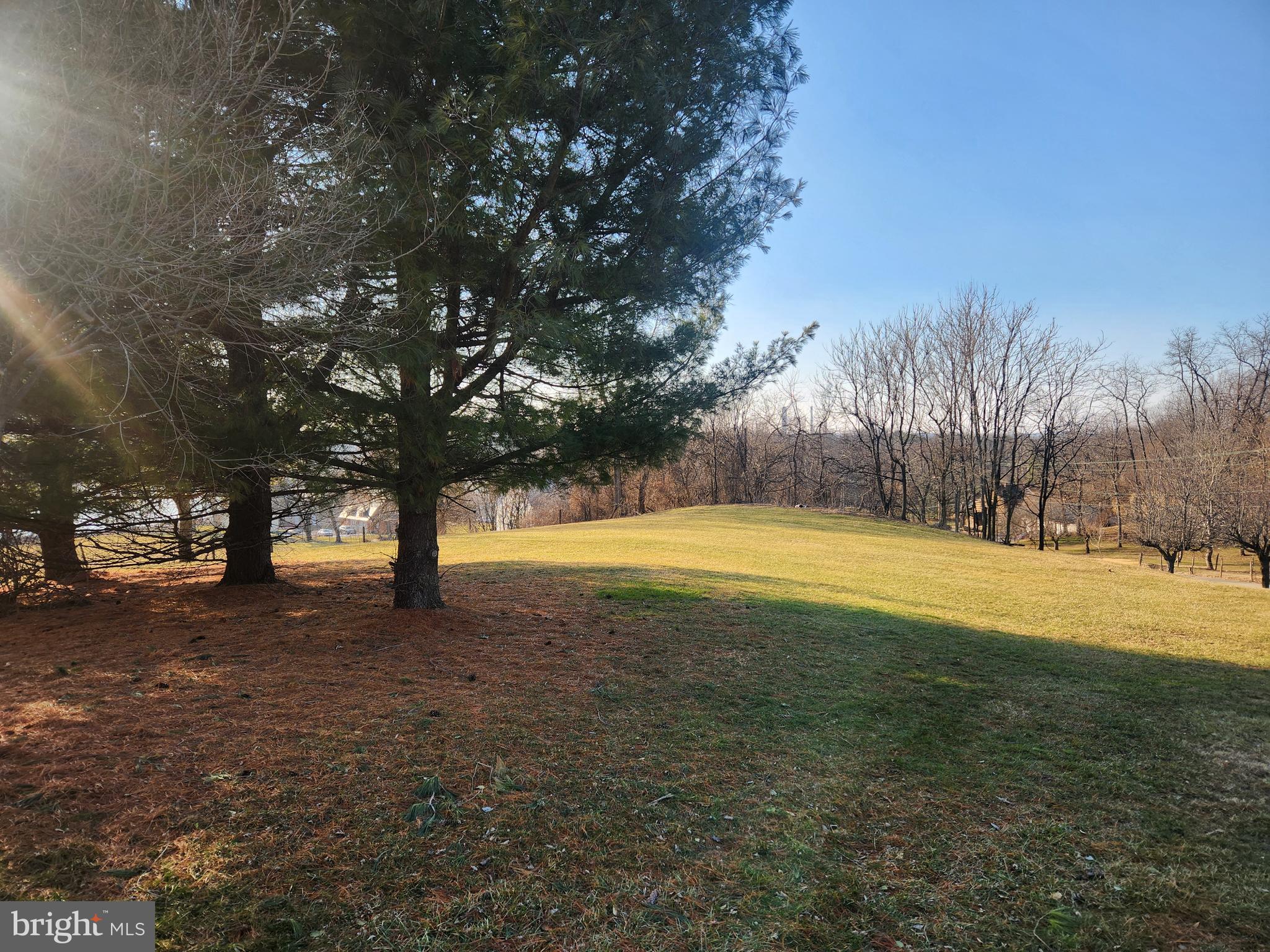 290 Locust Grove Road Bainbridge, PA 17502 - Photo 61 of 108 a view of yard with trees