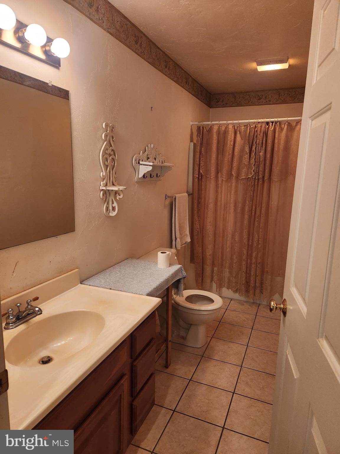 290 Locust Grove Road Bainbridge, PA 17502 - Photo 10 of 108 a bathroom with a sink a toilet and shower