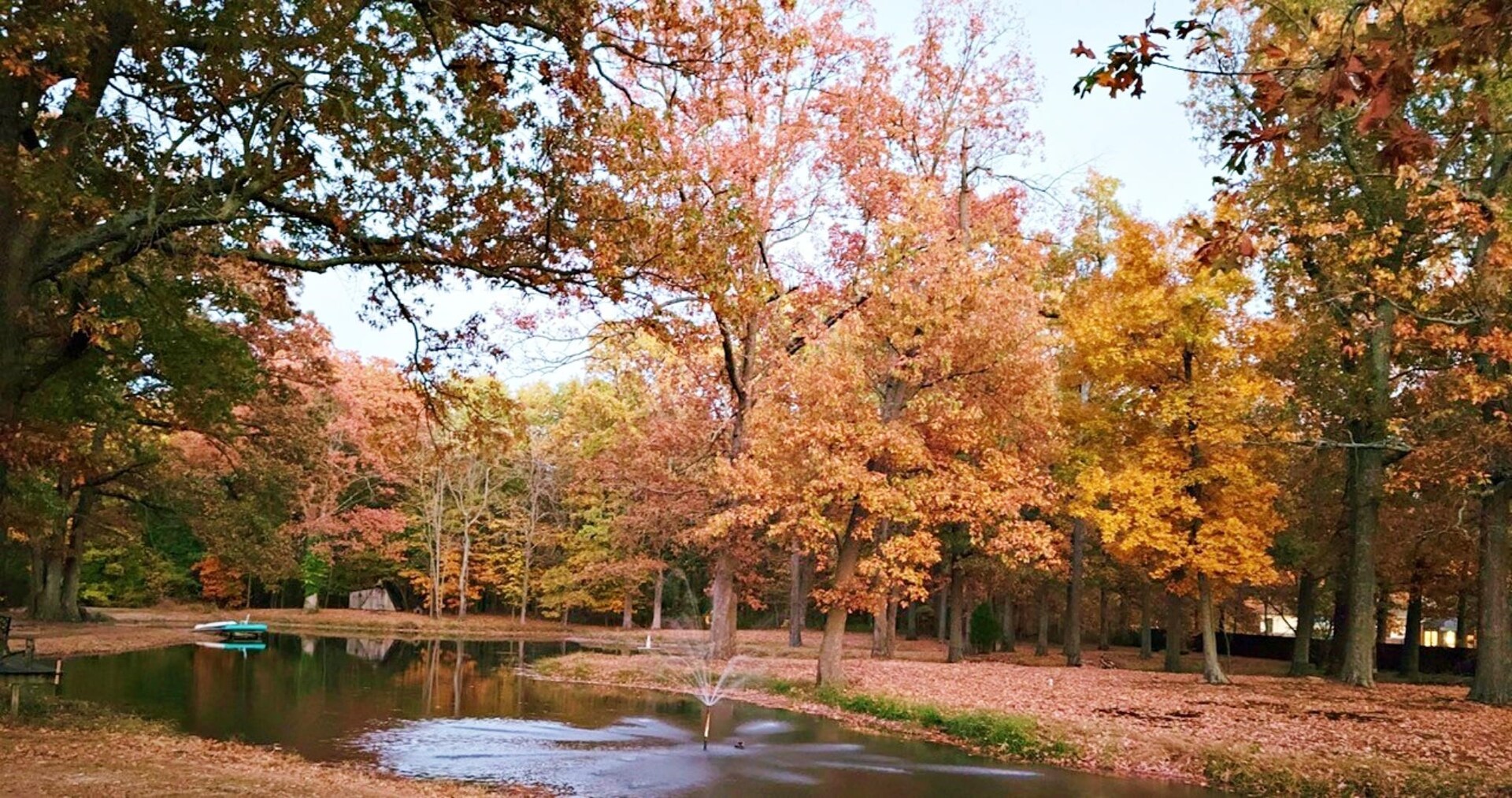 1600 Scott Street Metropolis, IL 62960 - Photo 16 of 23 a view of lake with trees
