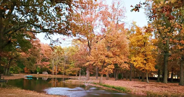 $299,900 | 1600 Scott Street, Metropolis, IL 62960