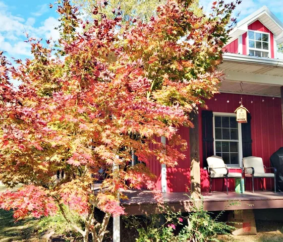 $299,900 | 1600 Scott Street, Metropolis, IL 62960