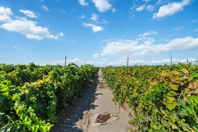 a view of swimming pool and city view