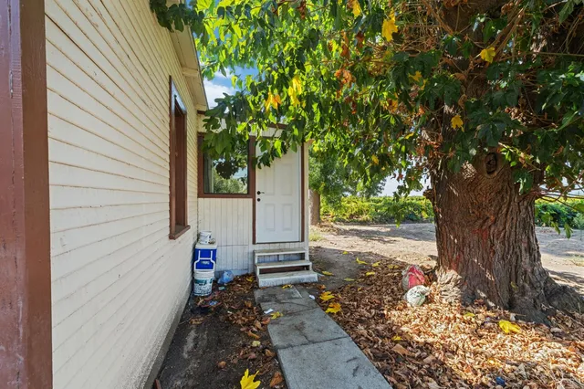 a bed room with a bed and a chandelier fan