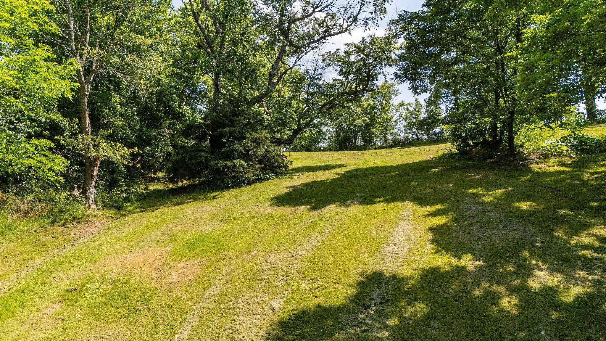 2003 Rinacas Corner Road Shenandoah, VA 22849 - Photo 5 of 58 Gallery Image 5