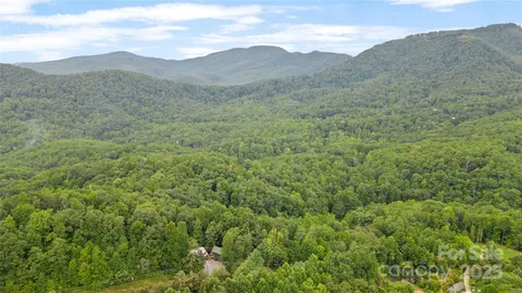 a view of a lush green hillside and a mountain