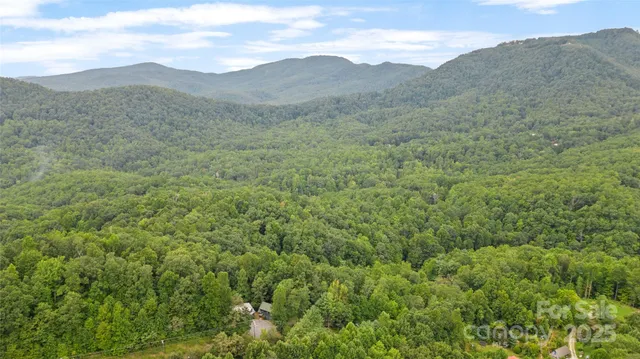 a view of a lush green hillside and a mountain