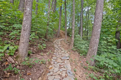 a view of a garden with plants and trees