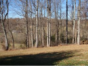 3910 Cherokee Road Jonesborough, TN 37659 - Photo 8 of 21 Photo 8