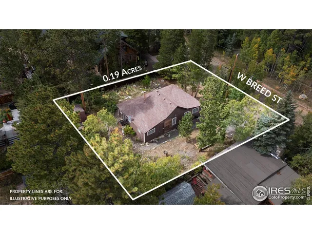 $350,000 | 550 West Breed Street, Nederland, CO 80466