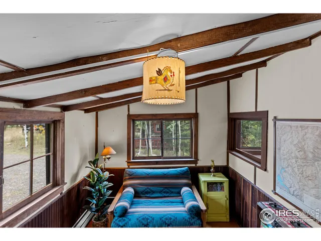 $350,000 | 550 West Breed Street, Nederland, CO 80466