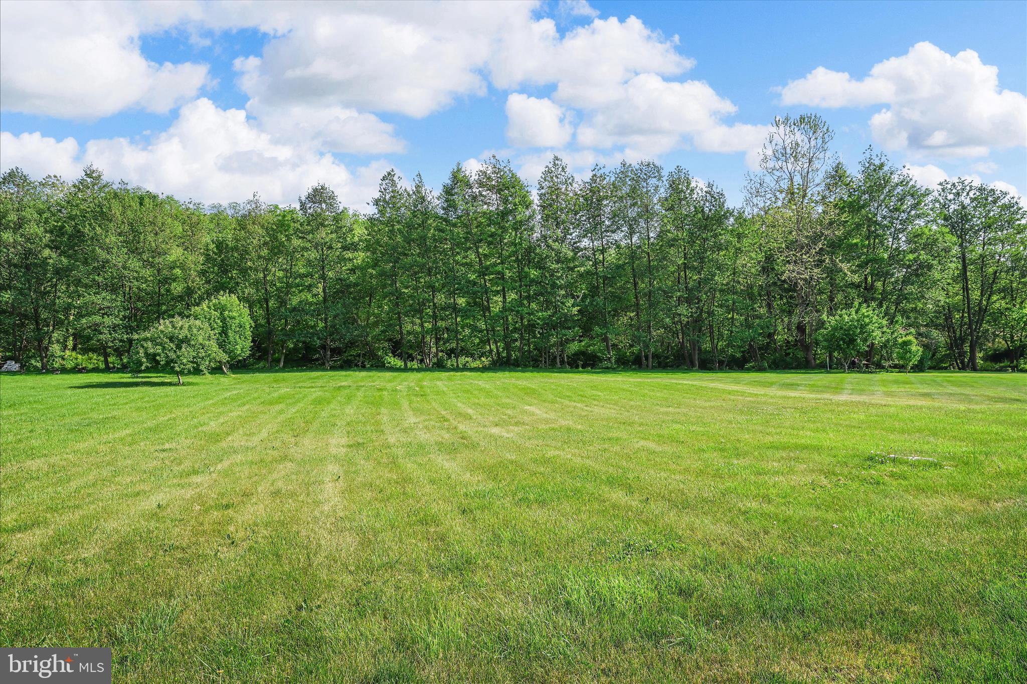 678 Integrity Drive Lititz, PA 17543 - Photo 43 of 51 a view of a garden
