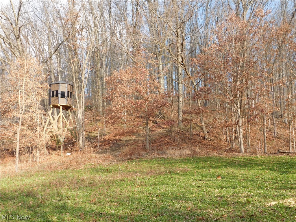 75733 Science Hill Road Newcomerstown, OH 43832 - Photo 20 of 22 Gallery Image 20