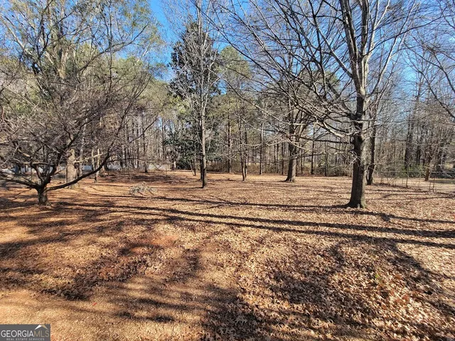 a view of road with trees