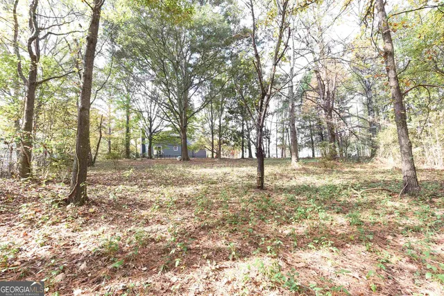 a view of yard with trees
