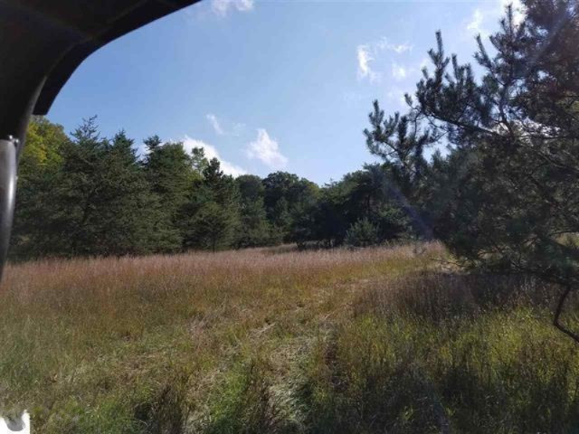 0 West 18 1/2 Road Mesick, MI 49668 - Photo 11 of 21 1853236-10