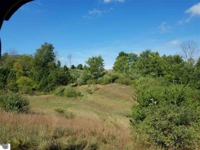 0 West 18 1/2 Road Mesick, MI 49668 - Photo 12 of 21 1853236-11