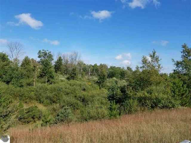 0 West 18 1/2 Road Mesick, MI 49668 - Photo 13 of 21 1853236-12