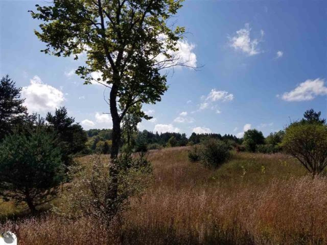 0 West 18 1/2 Road Mesick, MI 49668 - Photo 14 of 21 1853236-13