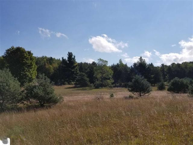 0 West 18 1/2 Road Mesick, MI 49668 - Photo 16 of 21 1853236-15