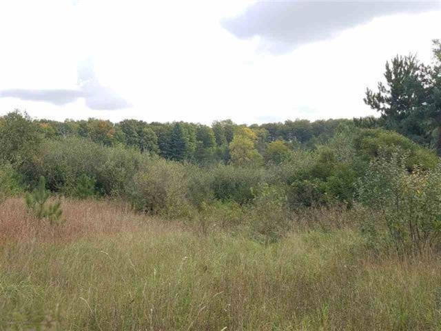 0 West 18 1/2 Road Mesick, MI 49668 - Photo 17 of 21 1853236-16