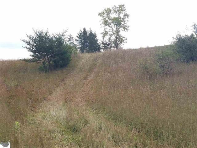 0 West 18 1/2 Road Mesick, MI 49668 - Photo 18 of 21 1853236-17