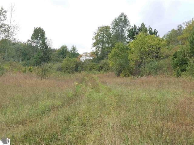 0 West 18 1/2 Road Mesick, MI 49668 - Photo 19 of 21 1853236-18