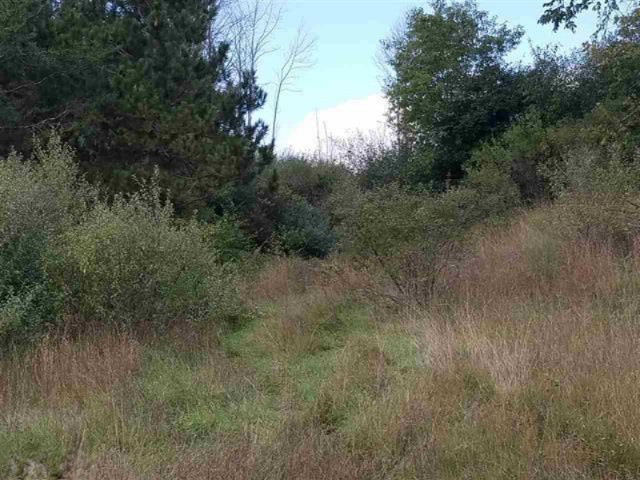 0 West 18 1/2 Road Mesick, MI 49668 - Photo 20 of 21 1853236-19