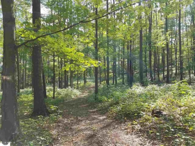 0 West 18 1/2 Road Mesick, MI 49668 - Photo 8 of 21 1853236-7