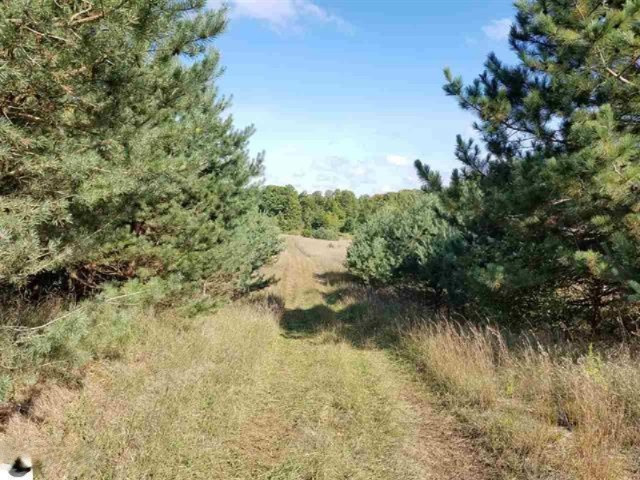 0 West 18 1/2 Road Mesick, MI 49668 - Photo 9 of 21 1853236-8