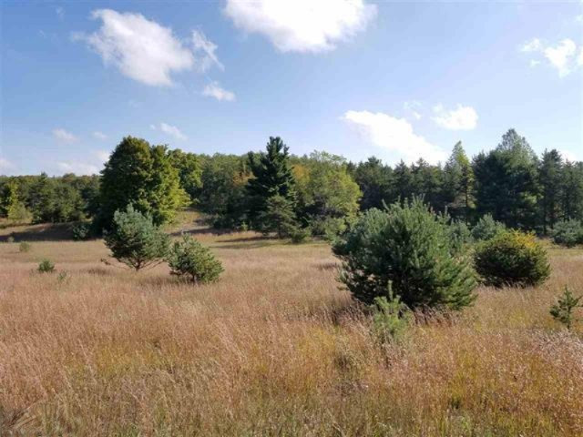 0 West 18 1/2 Road Mesick, MI 49668 - Photo 10 of 21 1853236-9
