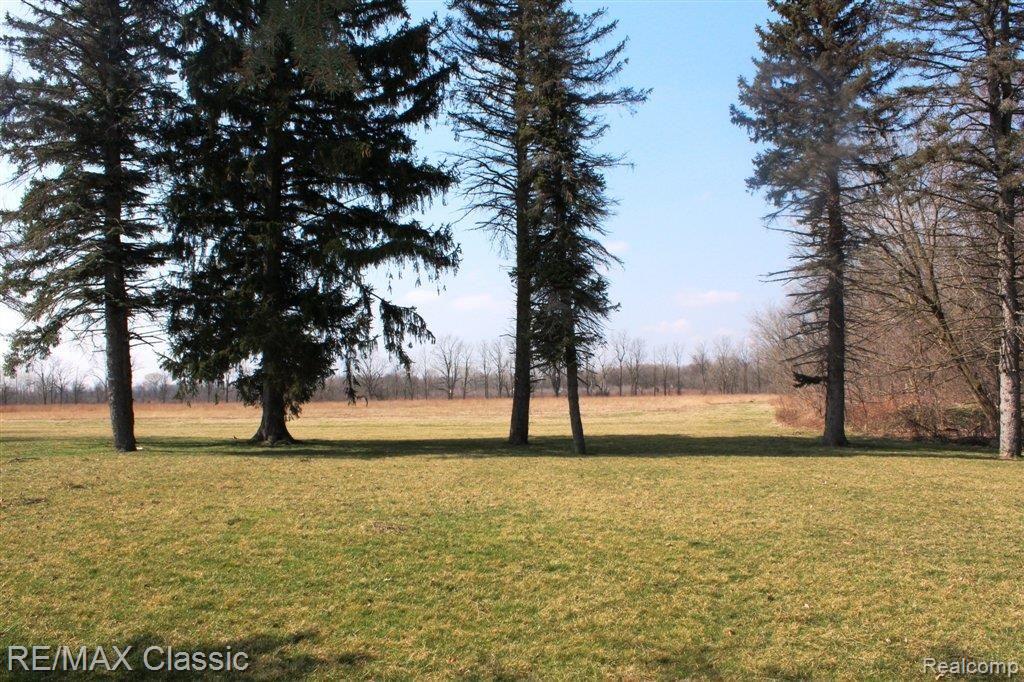 6205 Ridge Road Canton, MI 48187 - Photo 24 of 25 Yard with babbling brook