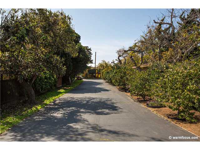 1054 Hermes Avenue Encinitas, CA 92024 - Photo 2 of 21 Driveway up to the house is lined with fruit trees