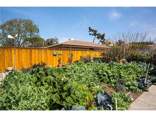 1054 Hermes Avenue Encinitas, CA 92024 - Photo 16 of 21 Vegetable Gardens are plentiful