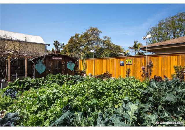 1054 Hermes Avenue Encinitas, CA 92024 - Photo 17 of 21 2 large sheds on each side of the backyard