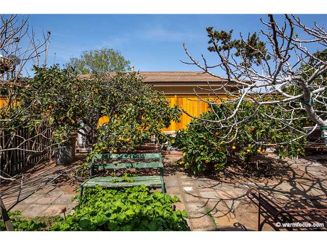1054 Hermes Avenue Encinitas, CA 92024 - Photo 18 of 21 Side yard with fruit trees and some hardscape